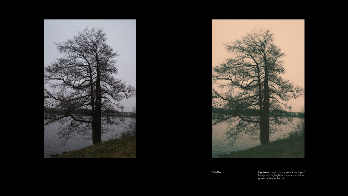 Catálogo Digital | Tarkovsky / Parr