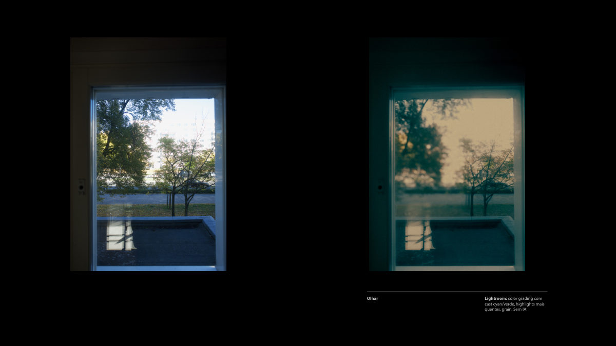 Catálogo Digital | Tarkovsky / Parr