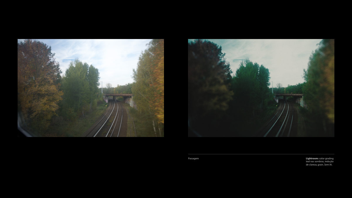 Catálogo Digital | Tarkovsky / Parr