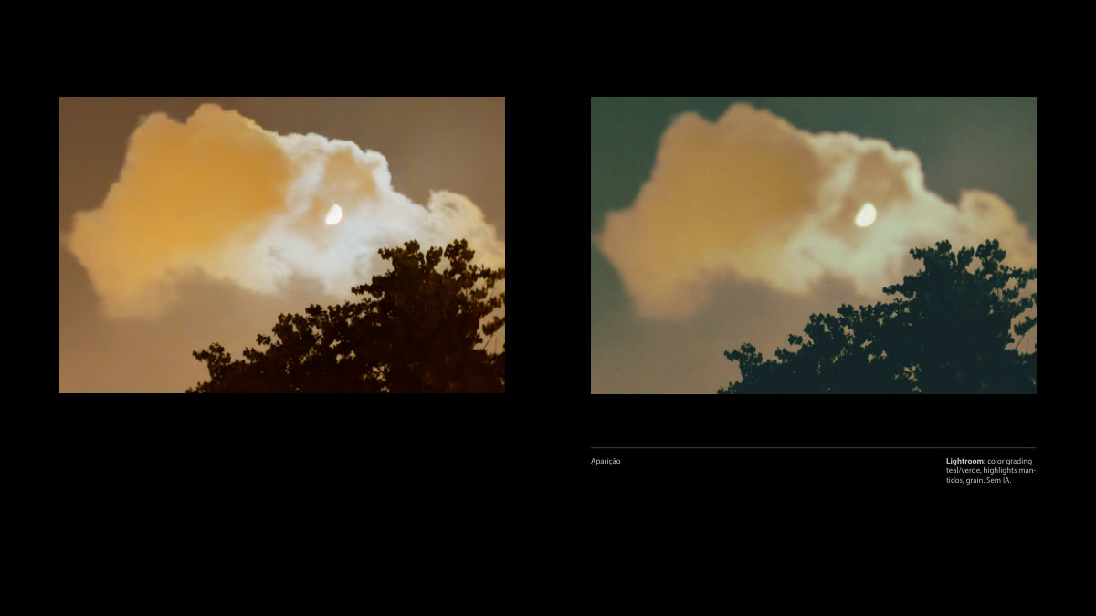 Catálogo Digital | Tarkovsky / Parr