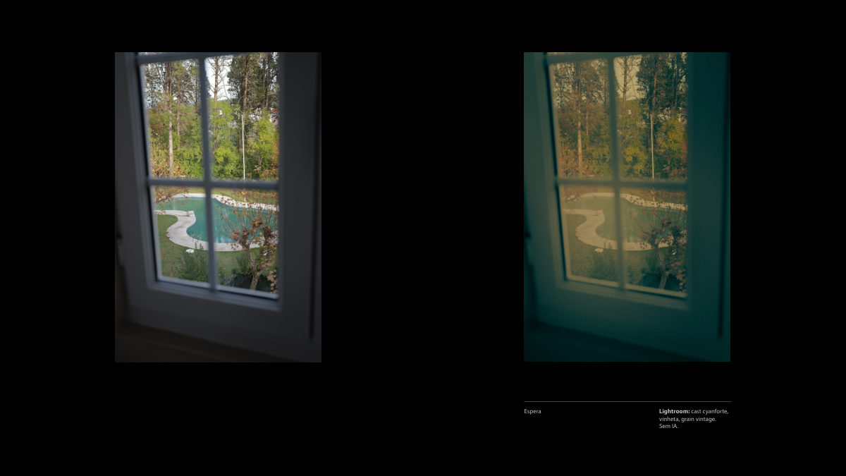 Catálogo Digital | Tarkovsky / Parr